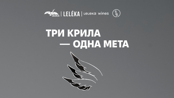 Три крила – одна мета: Лелеки обʼєднуються, щоб допомогти медикам на передовій